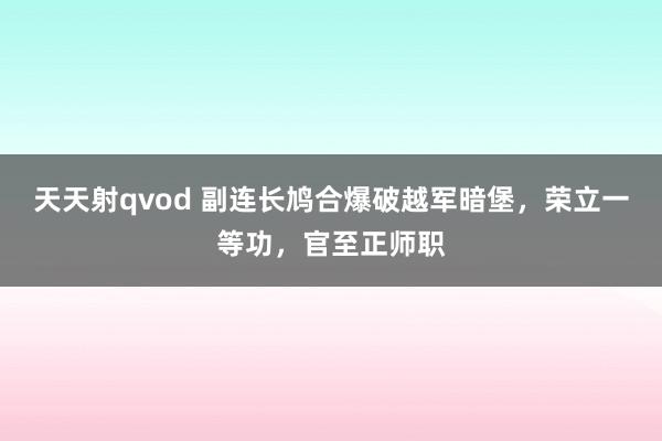 天天射qvod 副连长鸠合爆破越军暗堡，荣立一等功，官至正师职