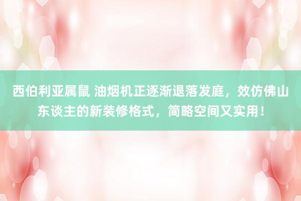 西伯利亚属鼠 油烟机正逐渐退落发庭，效仿佛山东谈主的新装修格式，简略空间又实用！