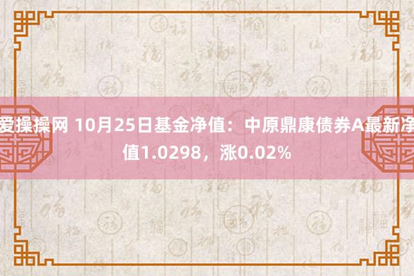 爱操操网 10月25日基金净值：中原鼎康债券A最新净值1.0298，涨0.02%