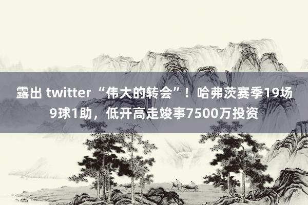 露出 twitter “伟大的转会”！哈弗茨赛季19场9球1助，低开高走竣事7500万投资