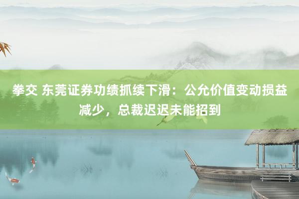 拳交 东莞证券功绩抓续下滑：公允价值变动损益减少，总裁迟迟未能招到