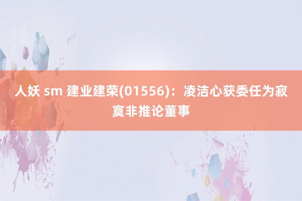 人妖 sm 建业建荣(01556)：凌洁心获委任为寂寞非推论董事