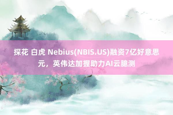 探花 白虎 Nebius(NBIS.US)融资7亿好意思元，英伟达加握助力AI云臆测