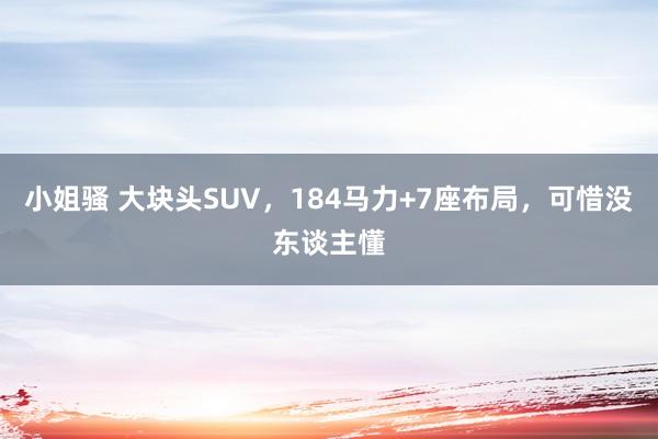 小姐骚 大块头SUV，184马力+7座布局，可惜没东谈主懂