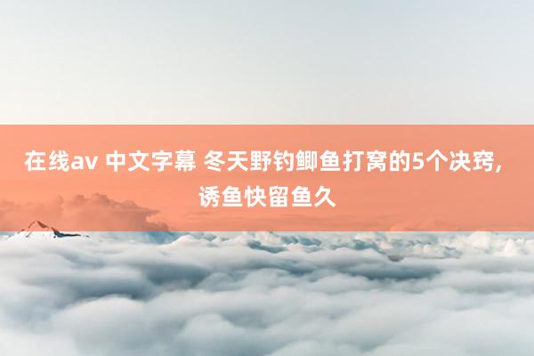 在线av 中文字幕 冬天野钓鲫鱼打窝的5个决窍， 诱鱼快留鱼久