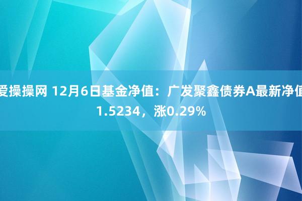 爱操操网 12月6日基金净值：广发聚鑫债券A最新净值1.5234，涨0.29%