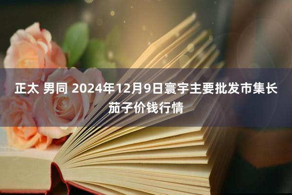 正太 男同 2024年12月9日寰宇主要批发市集长茄子价钱行情