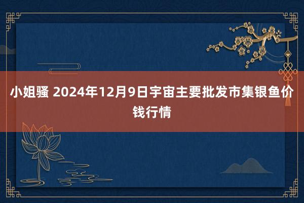 小姐骚 2024年12月9日宇宙主要批发市集银鱼价钱行情