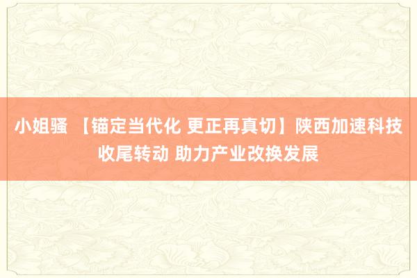 小姐骚 【锚定当代化 更正再真切】陕西加速科技收尾转动 助力产业改换发展