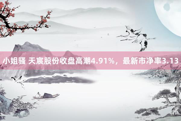小姐骚 天宸股份收盘高潮4.91%，最新市净率3.13