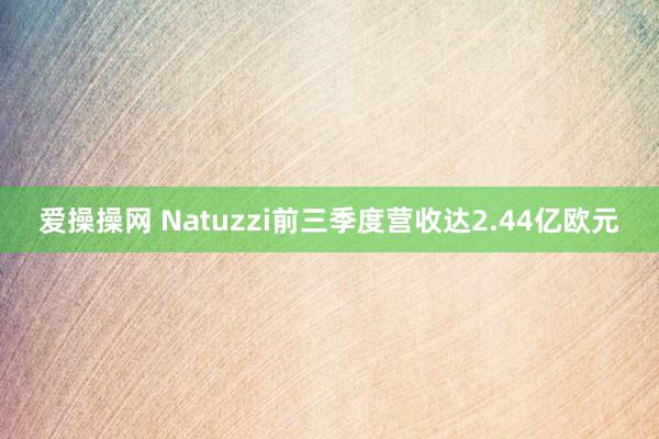 爱操操网 Natuzzi前三季度营收达2.44亿欧元