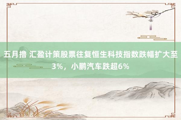 五月撸 汇盈计策股票往复恒生科技指数跌幅扩大至3%，小鹏汽车跌超6%