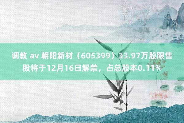 调教 av 朝阳新材（605399）33.97万股限售股将于12月16日解禁，占总股本0.11%