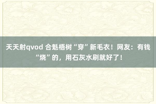 天天射qvod 合魁梧树“穿”新毛衣！网友：有钱“烧”的，用石灰水刷就好了！