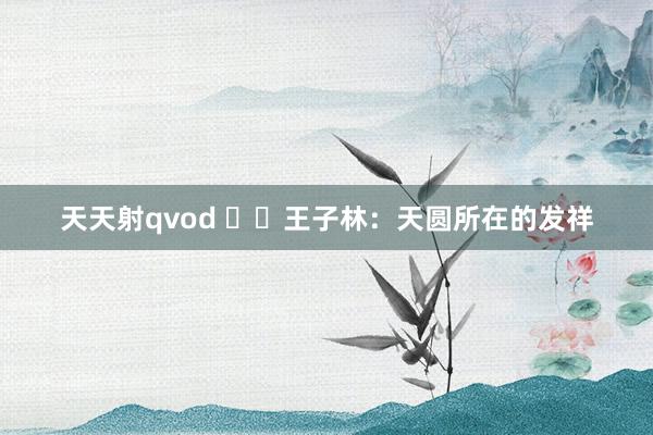 天天射qvod ​​王子林：天圆所在的发祥