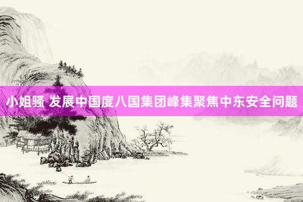 小姐骚 发展中国度八国集团峰集聚焦中东安全问题
