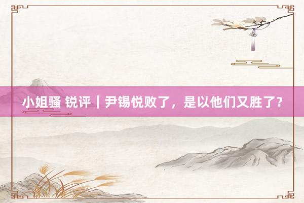 小姐骚 锐评｜尹锡悦败了，是以他们又胜了？