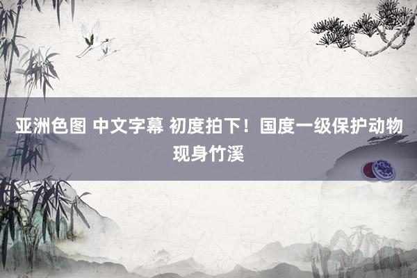亚洲色图 中文字幕 初度拍下！国度一级保护动物现身竹溪