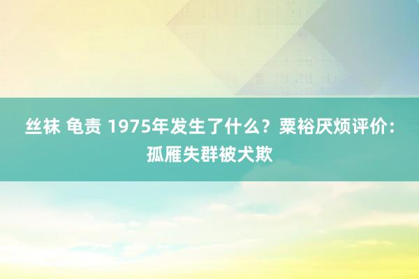 丝袜 龟责 1975年发生了什么？粟裕厌烦评价：孤雁失群被犬欺