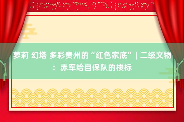 萝莉 幻塔 多彩贵州的“红色家底” | 二级文物：赤军给自保队的梭标