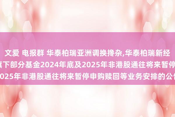 文爱 电报群 华泰柏瑞亚洲调换搀杂,华泰柏瑞新经济沪港深搀杂A: 对于旗下部分基金2024年底及2025年非港股通往将来暂停申购赎回等业务安排的公告