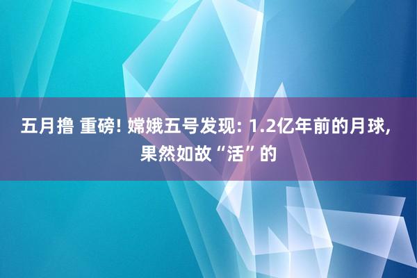 五月撸 重磅! 嫦娥五号发现: 1.2亿年前的月球， 果然如故“活”的