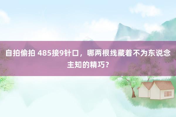 自拍偷拍 485接9针口，哪两根线藏着不为东说念主知的精巧？