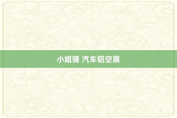 小姐骚 汽车铝空展