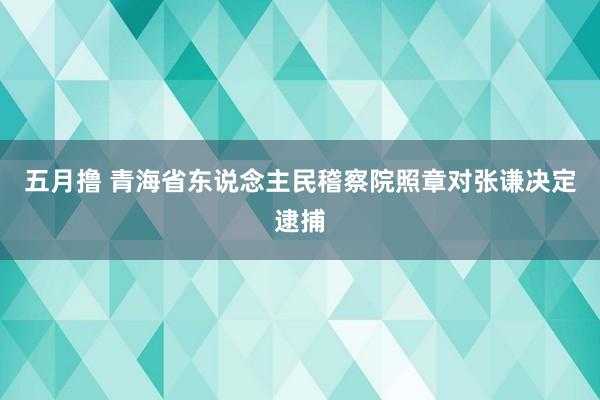 五月撸 青海省东说念主民稽察院照章对张谦决定逮捕