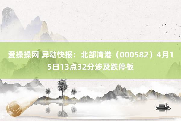 爱操操网 异动快报：北部湾港（000582）4月15日13点32分涉及跌停板