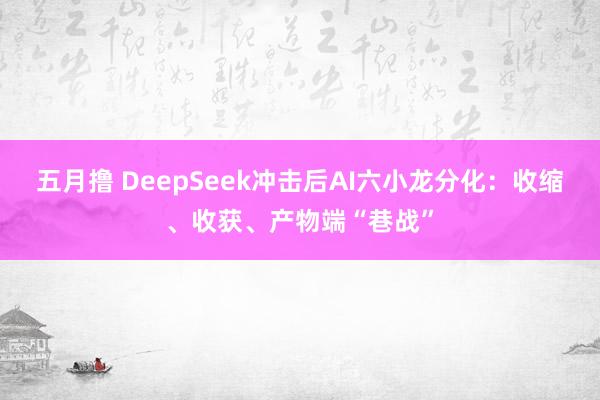 五月撸 DeepSeek冲击后AI六小龙分化：收缩、收获、产物端“巷战”